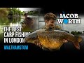 The Best Carp Fishing in London - Walthamstow with Jacob Worth