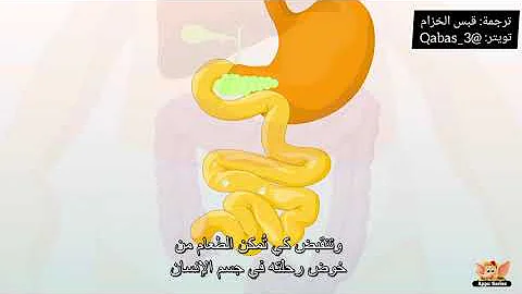شرح الجهاز العضلى القصراوى Mp3