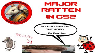 Major Ratten in CS2