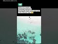 bayaran mahal dari sebuah kerja keras adalah liburan #lofi #wonderful