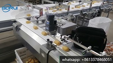 [Boruipack]  Biscuits cakes muffin buns automatic packing line with 2 flow wrap packing machines