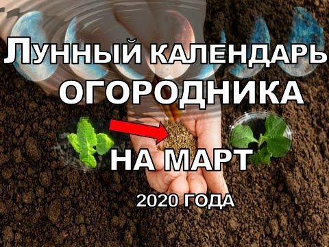 Март 2020. Посевной Календарь&#55356;&#57143; Лунный Календарь Огородника Что и Когда сажать Благоприятные дни