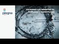 PREGNA - PROGRAMA CON BIENESTAR, TN. FERTILIDAD Y SUBFERTILIDAD.