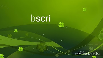 B. ED PRACTICUM (EVALUATION AND PREPARATION OF A REPORT OF EXISTING WBBSE, WBCHSE, ISCSE, ISC AND CB