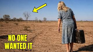 Replaced After 38 Years, She Was Left Homeless — Until She Found a Secret Land No One Wanted!