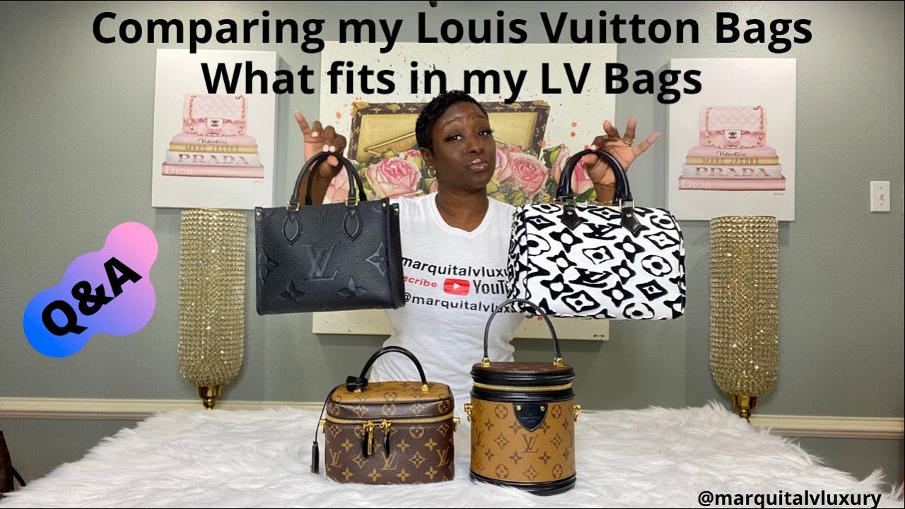 Louis Vuitton Leather Vanity PM versus DiorTravel Vanity Bag - Spotted  Fashion
