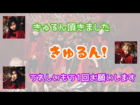 きゅるりんMAYUちゃん【FREE ALL EMPiRE 文字起こし】