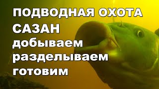 Подводная охота Сула 2021