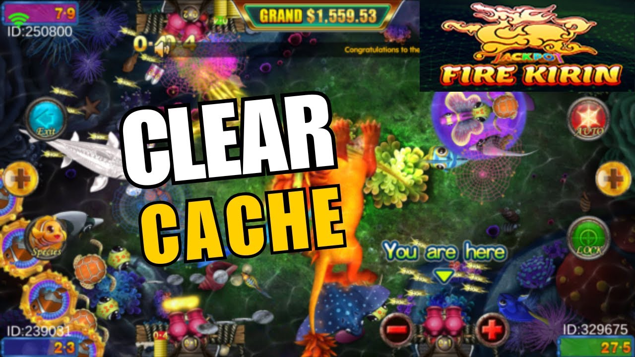 How to Clear Cache in Fire Kirin 2025?