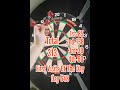 First Visits Of The Day 648 #darts #pdc #lukelittler #dartsreviews #180 #dartschallenge #wdf #bdo