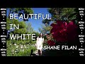 BEAUTIFUL IN WHITE - SHANE FILAN (piano cover 1 hour)