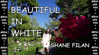 BEAUTIFUL IN WHITE - SHANE FILAN (piano cover 1 hour)