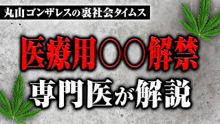 【医療用〇〇解禁】専門医を招いて解説【丸山ゴンザレスの裏社会タイムス】