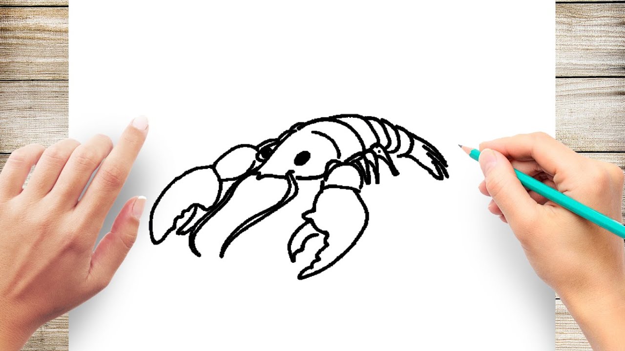 How to Draw a Spiny Lobster