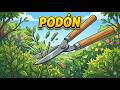 PODON | VIDEO EXPLICATIVO