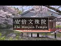 桜が咲き誇る文殊菩薩様のお寺「安倍文殊院」｜奈良観光コンシェルジュが桜井市のお寺をご紹介：Abe Monjuin-Temple in Sakurai City｜Nara
