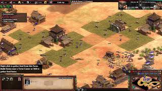 Aoe2 DE lag