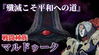 【超時空要塞マクロスⅡ】マルドゥークの歴史 ～知られざる成り立ちと殲滅と吸収を繰り返す戦闘種族～