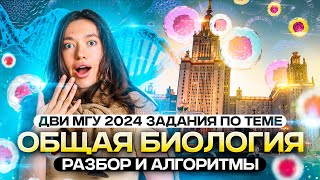 :         |  2024