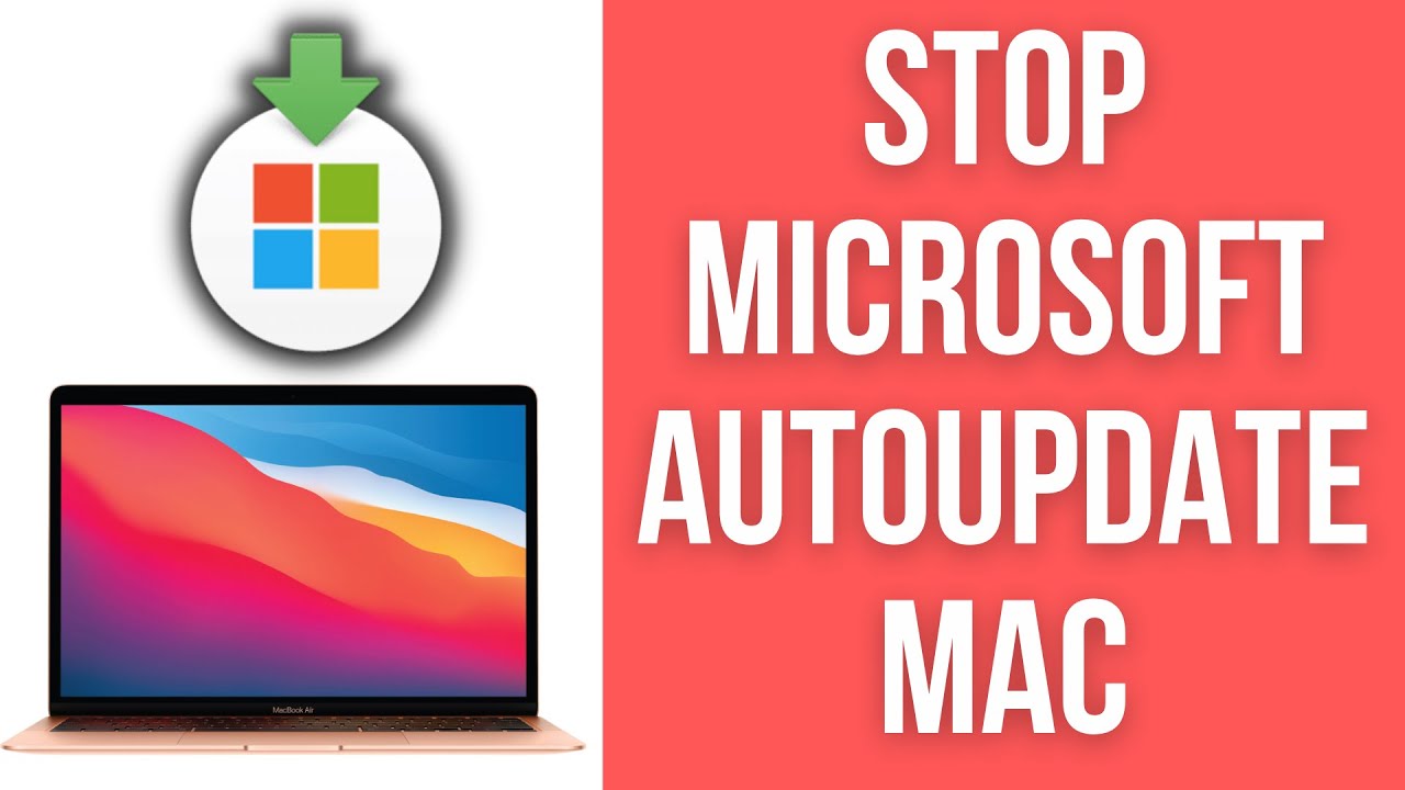 launch microsoft autoupdate on mac os x