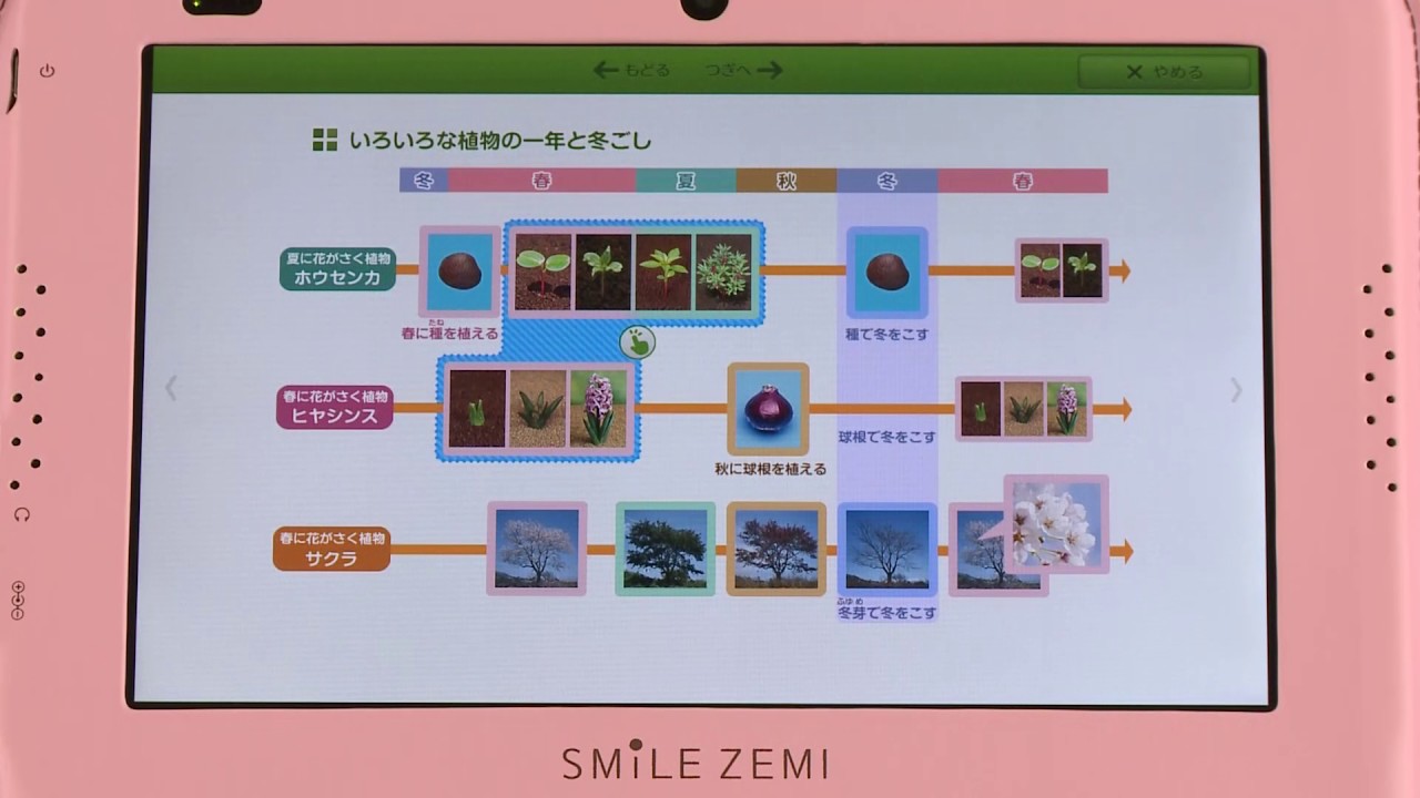 自然観察｜4年生 理科｜スマイルゼミ 小学生コース - YouTube