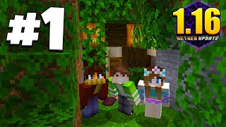 ХАЙ-ТЕК ВЫЖИВАНИЕ 1.16 #1 | СТРОИМ ХАЙ-ТЕК ЗЕМЛЯНКУ! САМОЕ НАЧАЛО! ВАНИЛЬНОЕ ВЫЖИВАНИЕ В Minecraft