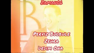 #pervizbulbule  #bulbule  #zehra  Dedim Ona  2024  Yeni  #love #trending #azerbaycan #music Resimi