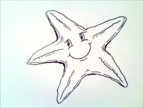 Vidéo: Comment Dessiner Une étoile De Mer