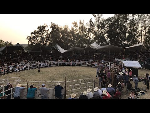 EN VIVO LOS DESTRUCTORES DE MEMO OCAMPO EN SAN ISIDRO GUANAJUATO 2019 jaripeo outfits