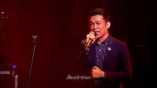 ไม้ขีดไฟกับดอกทานตะวัน : ป๊อด ธนชัย : คอนเสิร์ตเพลงประภาส 2