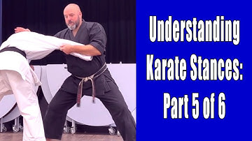 Understanding Karate Stances: Part 5 of 6