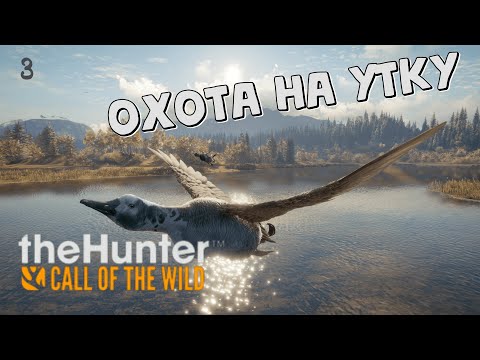Видео: theHunter Call of the Wild #3 - Охота на Уток в Озерном Крае Лейтон