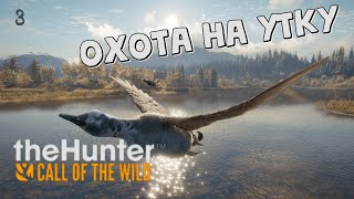 theHunter Call of the Wild #3 - Охота на Уток в Озерном Крае Лейтон