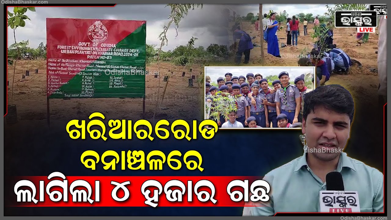 ଖରିଆରରୋଡ଼ ବନାଞ୍ଚଳରେ ବନ ମହୋତ୍ସବ ସପ୍ତାହ ପାଳିତ ହୋଇଯାଇଛି, ନାଞ୍ଚଳରେ ଲାଗିଲା 4 ହଜାର ଗଛ
