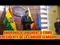 ANDRONICO JURAMENTO COMO PRESIDENTE DE LA CÁMARA DE SENADORES...