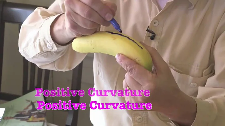 Mathphile: who the f*** drew on my food?!