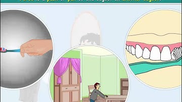 Class 4 Science - Push & Pull - Wyra.in