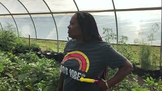 Case Studies In Conservation: Lawrence Community Gardens