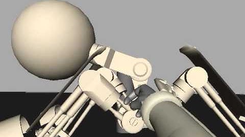 Ball Bot 1 day