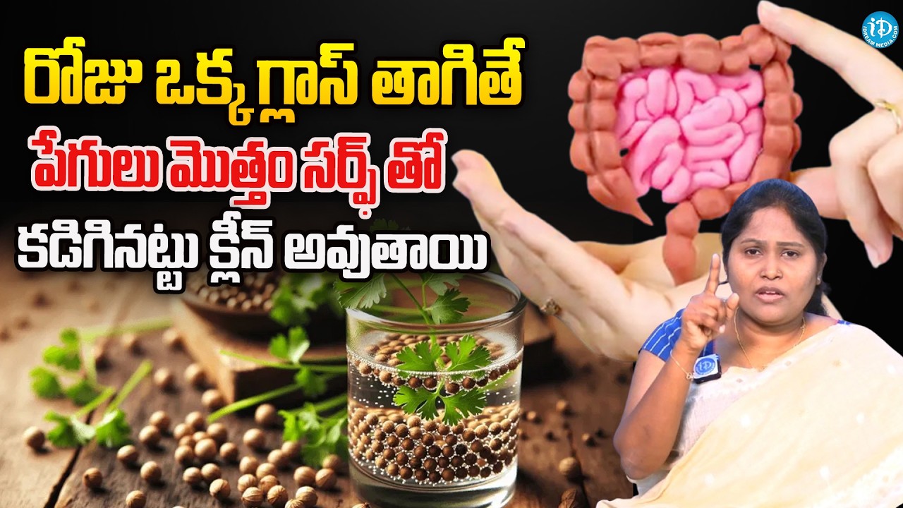 Dr. Shagufta రోజు ఒక్క గ్లాస్ తాగితే పేగులు మొత్తం సర్ఫ్ తో కడిగినట్టు క్లీన్..| Gut Health | iDream