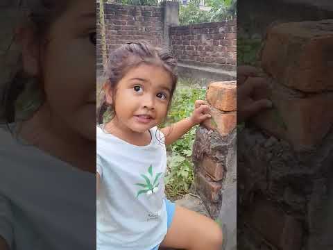 আরোহী আমার সাথে রাগ করে বলতেছে আরোহী নাম ধরে যেনো না ডাকি,,,