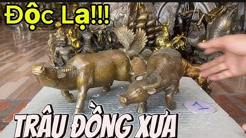 Đại bàng bằng đồng _ Hổ đồng _ Thuyền buồm bằng đồng #độclạcầnthơ #doco