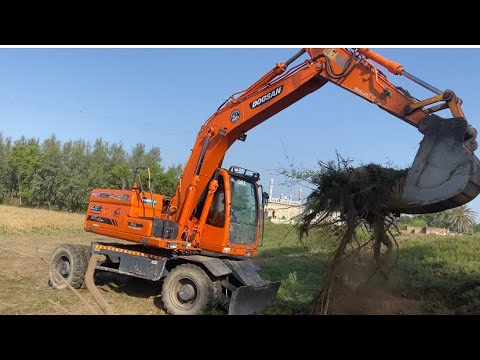 Powerful Excavator Removing Tree Roots Fast | Heavy Machine Root ...