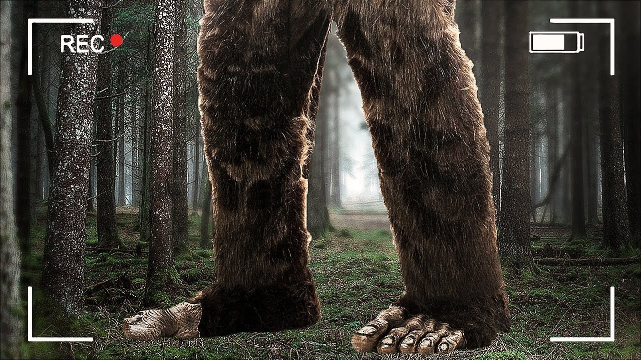 FINDING BIGFOOT 2.0!! (Finding Bigfoot Game)