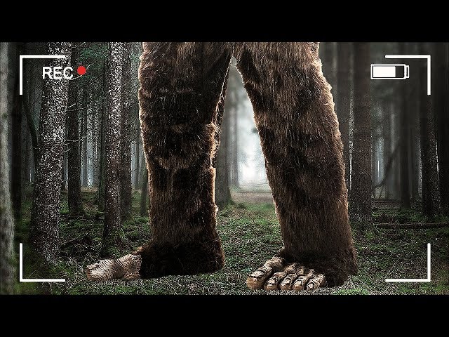 Finding Bigfoot (Game) - Giant Bomb