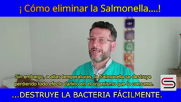 ¿La salmonela se destruye con la cocción?