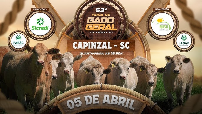 34ª FEIRA DO GADO GERAL PAINEL SC 