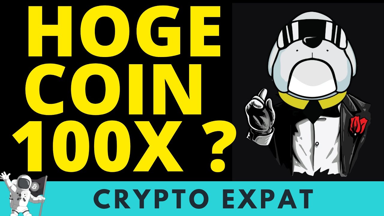 HOGE Coin Is This The Next 100X Gem or Not?  Hoge Finance Defi , Games, and NFT's