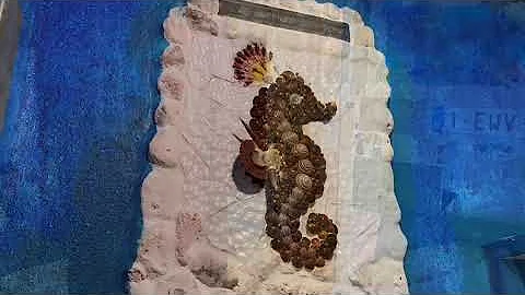 Bimini, Dolphin House and the Fountain of youth?