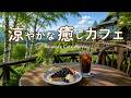 途中広告なし【カフェBGM】涼やかな癒しのカフェ音楽｜高原の風に包まれるやさしい時間｜作業用・読書・リラックス